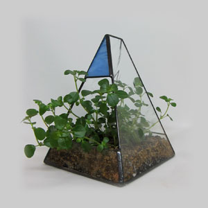 三角テラリューム